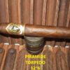 PIRAMIDE | Torpedo 52*6 Casa Habano Little Havana Miami
